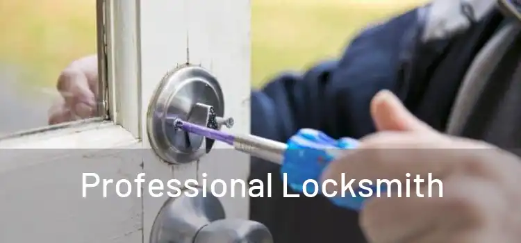  Professional Locksmith 